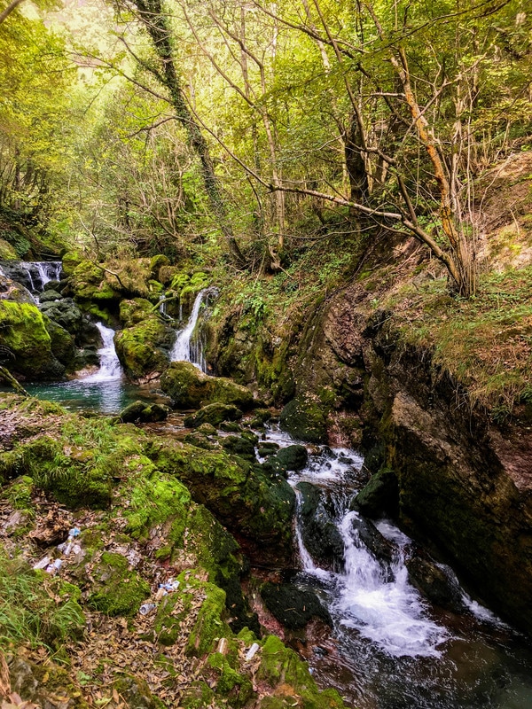 Peja photo